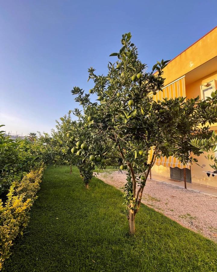 Casa Vacanze Paradise Santa Maria La Carita Exterior foto